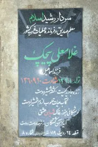 grave shahid