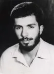 5800689.jpg
