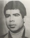 5901781.jpg