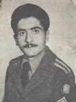 5901893.jpg