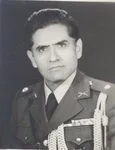5902443.jpg