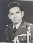 5902443.jpg