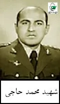 5903132.jpg