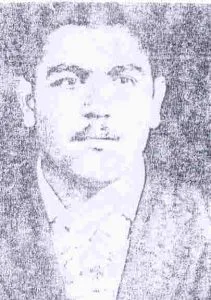 5905400.jpg