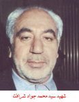 شهید سیدمحمدجواد شرافت