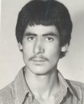 6008752.jpg