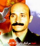 شهید ولی اله فلاحی