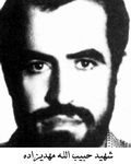 شهید حبیب مهدی زاده طاهر