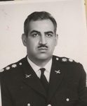 6014167.jpg