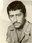 6113046.jpg