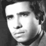 شهید ناصر شیردل