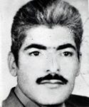 6119169.jpg