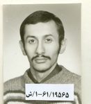 6119565.jpg