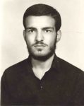 6131951.jpg