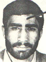 6201195.jpg
