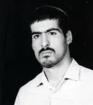 6206358.jpg