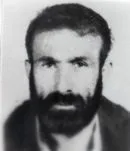 6206425.jpg