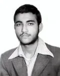 6215424.jpg