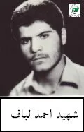 6221679.jpg