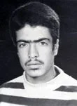 6222109.jpg