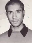 6300857.jpg