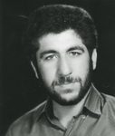 6309473.jpg
