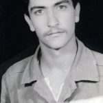 6310353.jpg