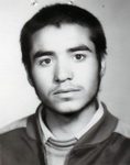 6311486.jpg