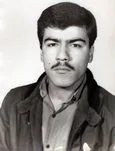 6311894.jpg
