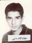 6311960.jpg