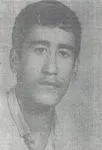 6312228.jpg