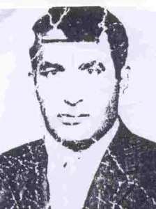6315538.jpg