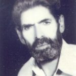 6403294.jpg