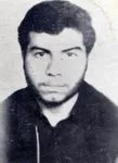 6404045.jpg
