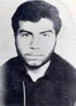 6404045.jpg