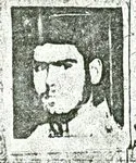 6404994.jpg
