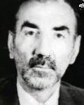 6410144.jpg
