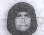 6410284.jpg