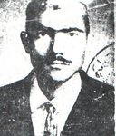 6410405.jpg