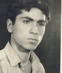 6416663.jpg