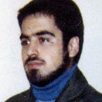 6417204.jpg