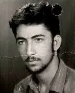 6508637.jpg