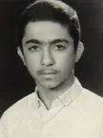 6508993.jpg