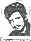 6511948.jpg