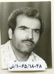 6518048.jpg