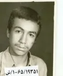 6519351.jpg