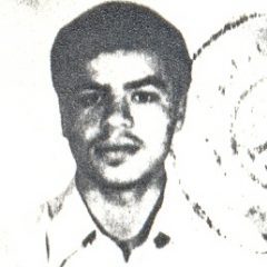 6520295.jpg