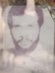 6522803.jpg