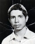 6525179.jpg