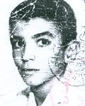 6525293.jpg